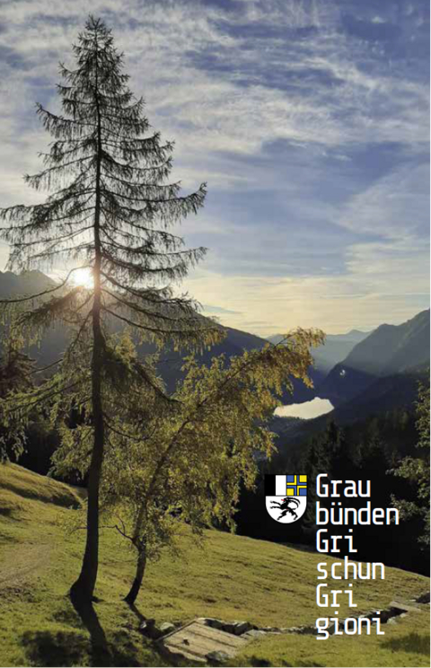 Schulkarte Graubünden - charta da scola dal Grischun - carta geografica scolastica dei Grigioni