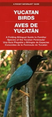 Yucatan Birds/Aves de Yucatan, 2nd Ed