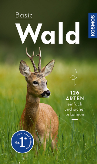Wald