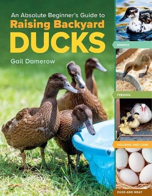 An Absolute Beginner's Guide to Raising Backyard Ducks - Gail Damerow