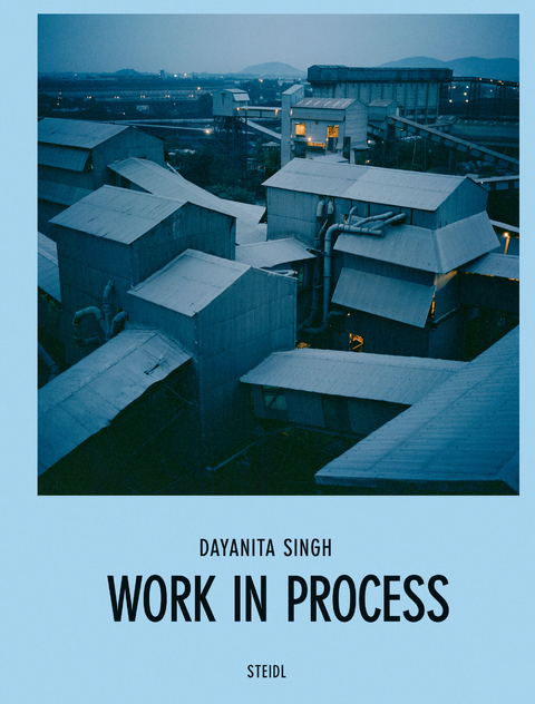 Work in Process - Dayanita Singh