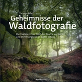 Geheimnisse der Waldfotografie - Yvonne Albe