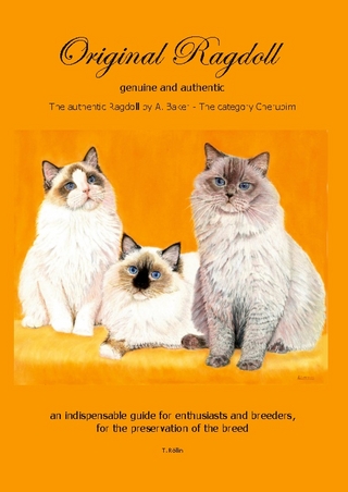 Original Ragdoll