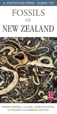 A Photographic Guide to Fossils of New Zealand - Hamish Campbell, James Crampton, Alan Beu, Liz Kennedy, Marianna Terezow