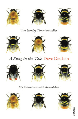 Sting in the Tale -  Dave Goulson