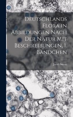 Deutschlands Flora in Abbildungen nach der Natur mit Beschreibungen, 1. B&auml;ndchen - Jacob Sturm