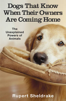Dogs That Know When Their Owners Are Coming Home -  Rupert Sheldrake
