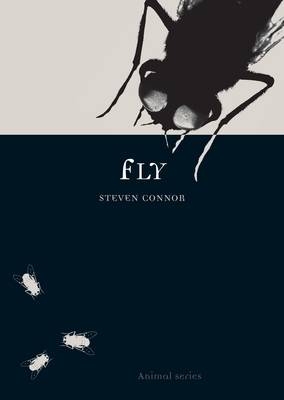 Fly -  Steven Connor