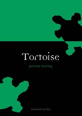 Tortoise -  Peter Young