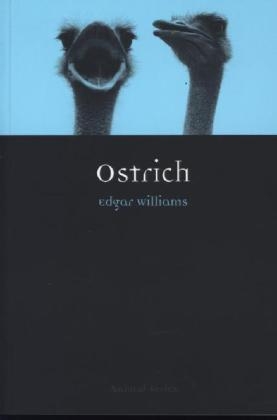 Ostrich -  Edgar Williams