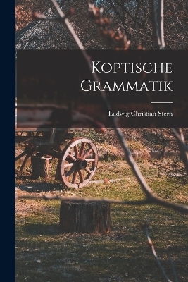 Koptische Grammatik - Ludwig Christian Stern
