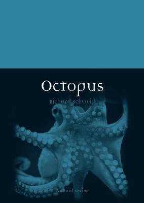 Octopus -  Richard Schweid