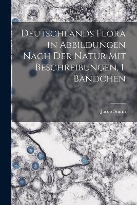 Deutschlands Flora in Abbildungen nach der Natur mit Beschreibungen, 1. B&auml;ndchen - Jacob Sturm