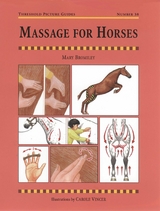 Massage for Horses -  Mary W. Bromiley