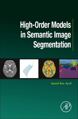High-Order Models in Semantic Image Segmentation - Ismail Ben Ayed
