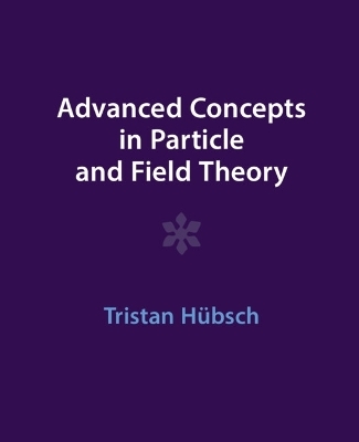 Advanced Concepts in Particle and Field Theory - Tristan H&uuml;bsch