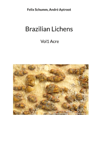 Brazilian Lichens