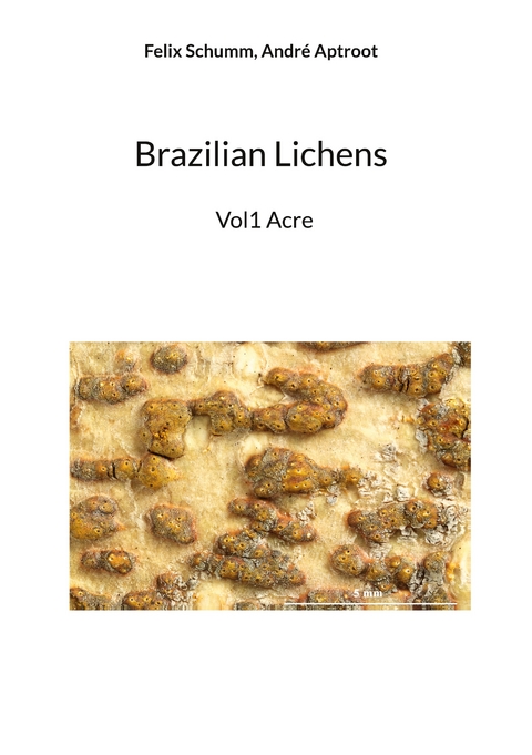 Brazilian Lichens - Felix Schumm, Andr&eacute; Aptroot