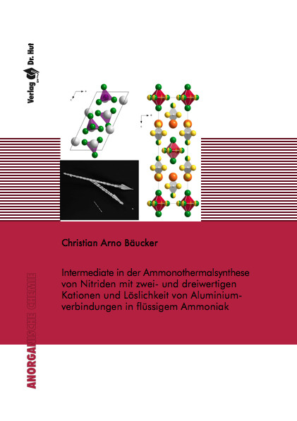 Intermediate in der Ammonothermalsynthese von Nitriden mit zwei- und dreiwertigen Kationen und L&ouml;slichkeit von Aluminiumverbindungen in f&uuml;ssigem Ammoniak - Christian Arno B&auml;ucker