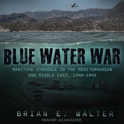 Blue Water War - Brian E Walter