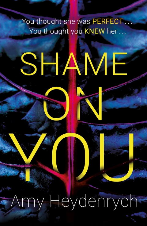 Shame on You - Amy Heydenrych