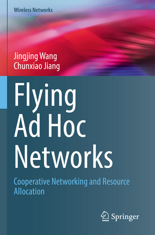 Flying Ad Hoc Networks