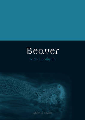 Beaver -  Rachel Poliquin