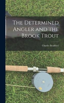 The Determined Angler and the Brook Trout