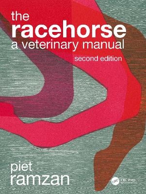 The Racehorse - Piet Ramzan