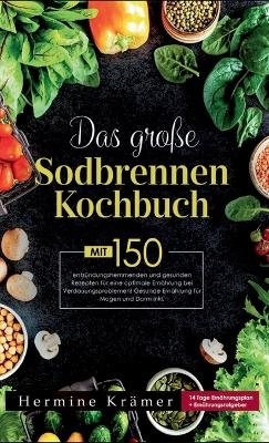 Das große Sodbrennen Kochbuch! Inklusive 14 Tage Ernährungsplan und Nährwerteangaben! 1. Auflage