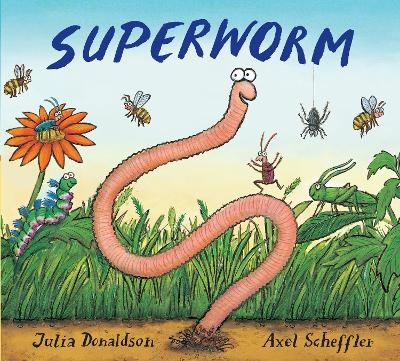 Superworm Gift Edition Board Book - Julia Donaldson