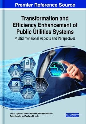 Transformation and Efficiency Enhancement of Public Utilities Systems