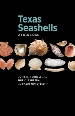 Texas Seashells -  Noe C Barrera,  Fabio Moretzsohn,  John W. Tunnell