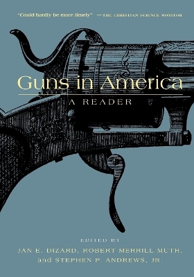 Guns in America - 