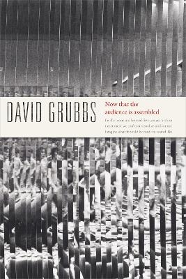 Now That the Audience Is Assembled - David Grubbs