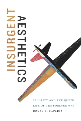 Insurgent Aesthetics - Ronak K. Kapadia
