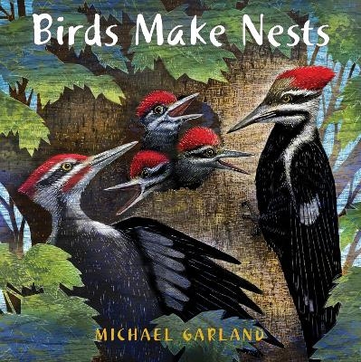 Birds Make Nests - Michael Garland