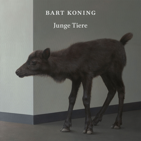 Bart Koning - 