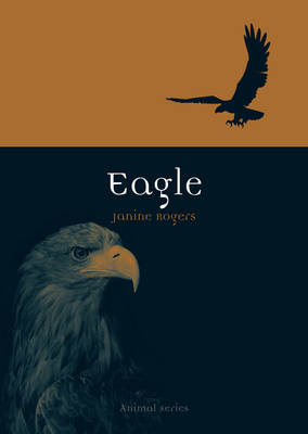 Eagle -  Janine Rogers