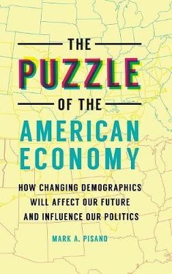 Puzzle of the American Economy