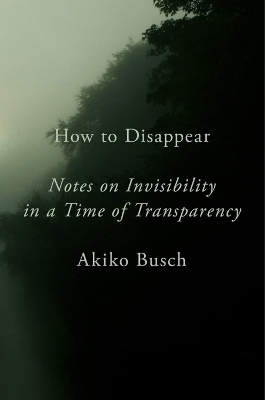 How to Disappear - Akiko Busch