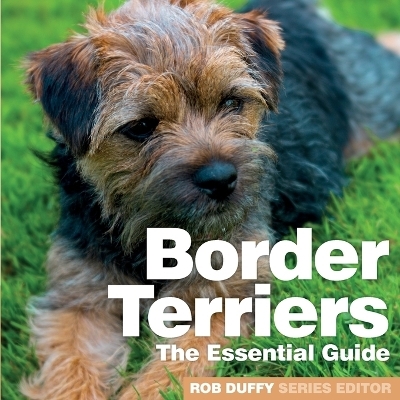 Border Terriers - 