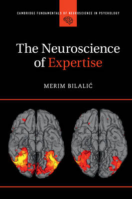 Neuroscience of Expertise