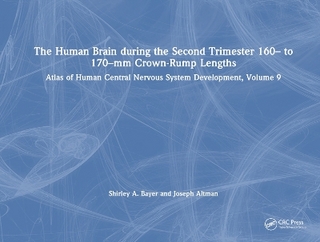 The Human Brain during the Second Trimester 160– to 170–mm Crown-Rump Lengths
