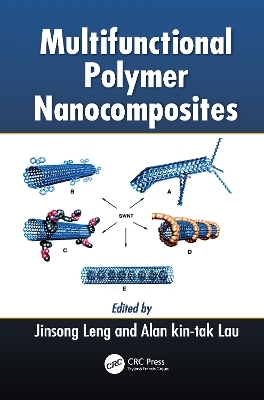 Multifunctional Polymer Nanocomposites - 