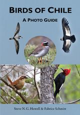 Birds of Chile - Steve N. G. Howell, Fabrice Schmitt