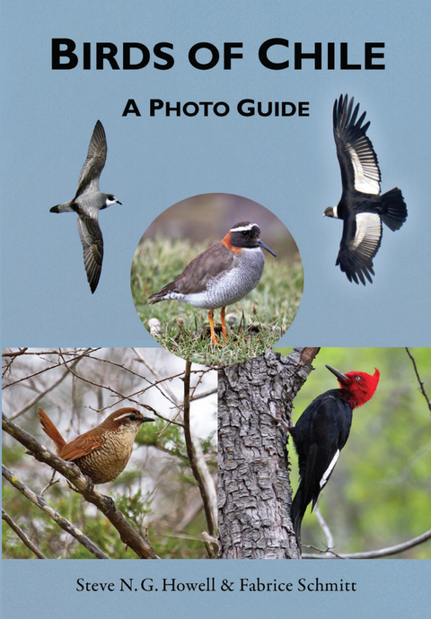Birds of Chile - Steve N. G. Howell, Fabrice Schmitt