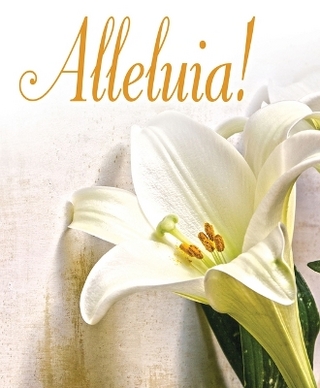 Alleluia! Easter Lilies Bulletin, Large (Pkg of 50)