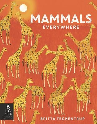 Mammals Everywhere - Camilla de la Bedoyere