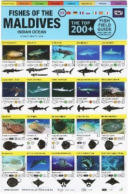 Maldives Fish Field Guide 